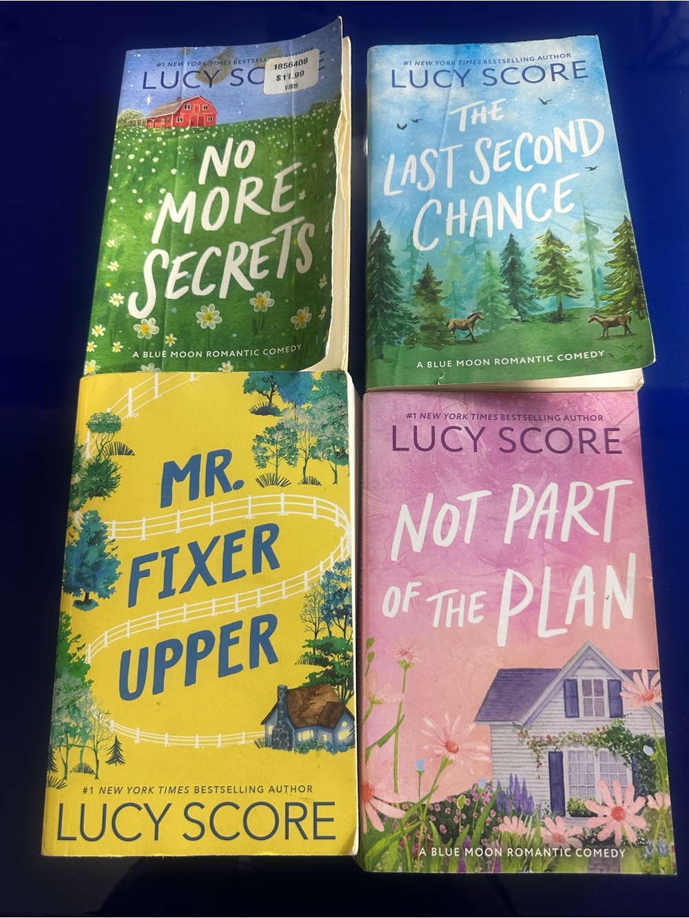 Lucy Score Book Set of 4